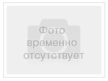 Ежевика Бжезина